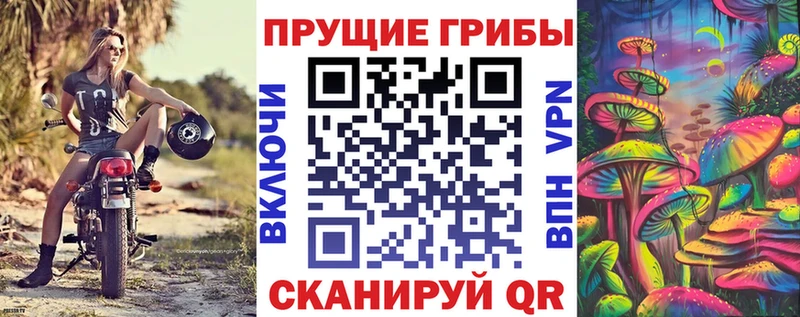 Псилоцибиновые грибы Cubensis  Таганрог 